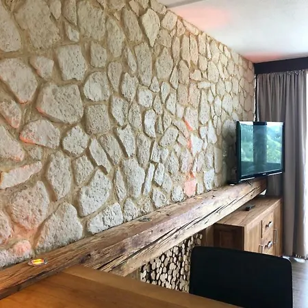 Alpine Studio - Dachstein Mountain View Apartamento Schladming